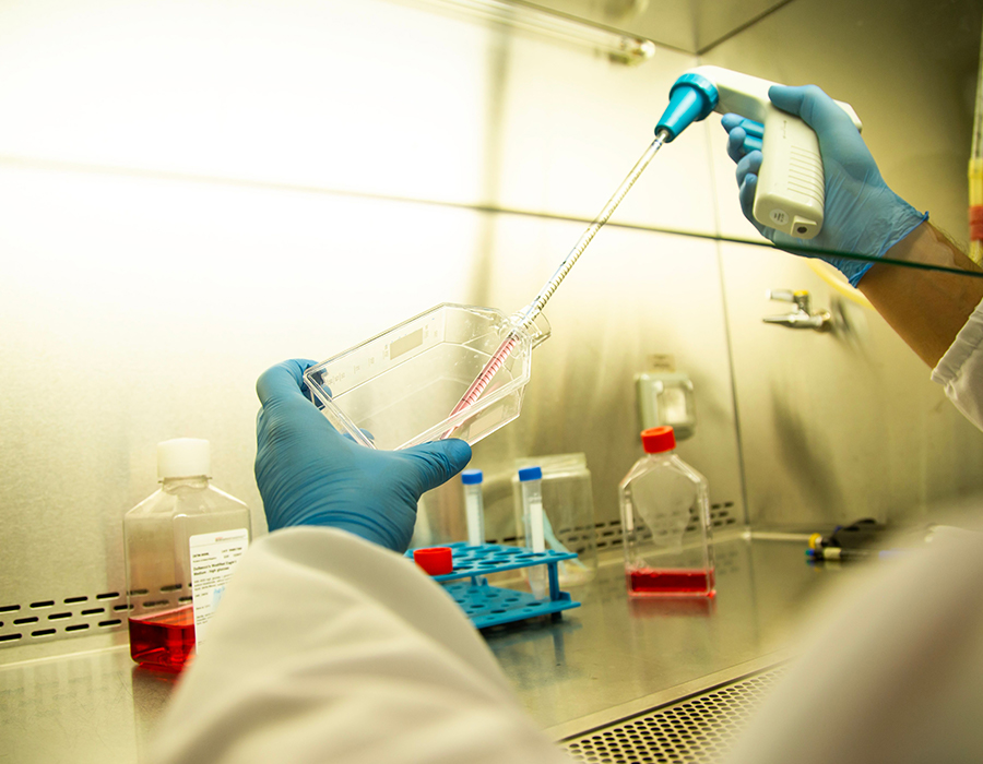 Biotechnológia és gyógyszerészet